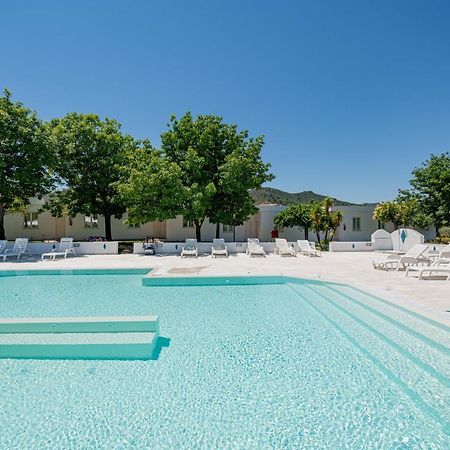 Hotel Le Mimose San Teodoro  Dış mekan fotoğraf